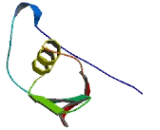 Serine Peptidase Inhibitor Kazal Type 3 (SPINK3)