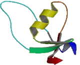 Serine Peptidase Inhibitor Kazal Type 4 (SPINK4)