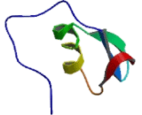 Serine Peptidase Inhibitor Kazal Type 6 (SPINK6)