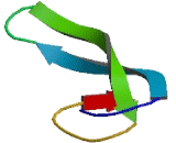 Serine Peptidase Inhibitor Kunitz Type 4 (SPINT4)