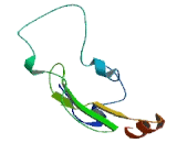 Serine Rich And Transmembrane Domain Containing Protein 1 (SERTM1)