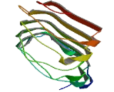 Serine/Threonine Kinase 11 Interacting Protein (STK11IP)