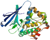 Serine/Threonine Kinase 17A (STK17A)