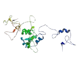 Serine/Threonine Kinase 19 (STK19)