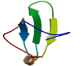 Serine/Threonine Kinase 31 (STK31)