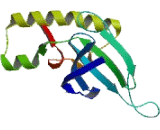 Serine/Threonine Kinase 32A (STK32A)