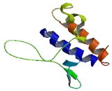 Serine/Threonine Kinase 32B (STK32B)