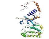 Serine/Threonine Kinase 32C (STK32C)