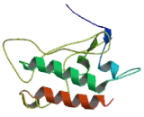 Serine/Threonine Kinase 35 (STK35)