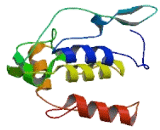 Serine/Threonine Kinase 40 (STK40)