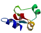 Serine/Threonine/Tyrosine Interacting Like Protein 1 (STYXL1)