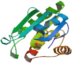 Serine/Threonine/Tyrosine Interacting Protein (STYX)