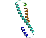 Serologically Defined Colon Cancer Antigen 8 (SDCCAG8)