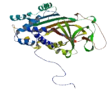 Serpin Peptidase Inhibitor Clade A Member 11 (SERPINA11)