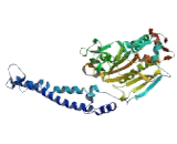 Seryl tRNA Synthetase (SARS)