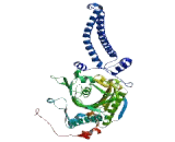 Seryl tRNA Synthetase 2, Mitochondrial (SARS2)