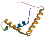 Sex Determining Region Y Box Protein 11 (SOX11)