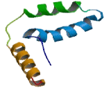 Sex Determining Region Y Box Protein 13 (SOX13)