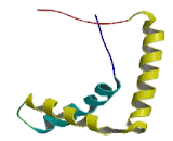 Sex Determining Region Y Box Protein 21 (SOX21)