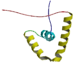 Sex Determining Region Y Box Protein 3 (SOX3)