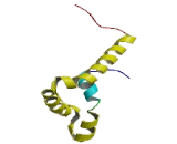 Sex Determining Region Y Box Protein 8 (SOX8)