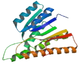 Short Chain Dehydrogenase/Reductase Family 16C, Member 5 (SDR16C5)