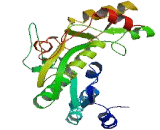 Short Chain Dehydrogenase/Reductase Family 39U, Member 1 (SDR39U1)