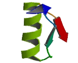 Short Chain Dehydrogenase/Reductase Family 42E, Member 1 (SDR42E1)