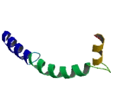 Short Coiled Coil Protein (SCOC)