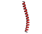 Shugoshin Like Protein 1 (SGOL1)