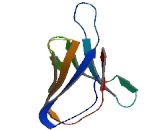 Sialic Acid Binding Ig Like Lectin 16 (SIGLEC16)