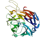 Sialidase 3, Membrane (SIAL3)