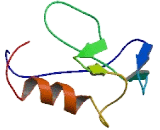 Sialyltransferase 2 (SIAT2)