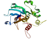 Sialyltransferase 4C (SIAT4C)