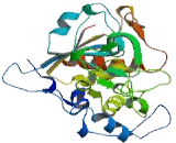 Sialyltransferase 7A (SIAT7A)