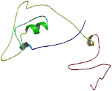 Sialyltransferase 7C (SIAT7C)