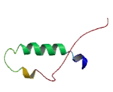 Sialyltransferase 7E (SIAT7E)