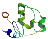 Sialyltransferase 7F (SIAT7F)