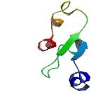 Sialyltransferase 8E (SIAT8E)