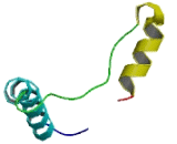 Sideroflexin 2 (SFXN2)