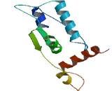 Sideroflexin 5 (SFXN5)