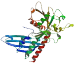 Signal Induced Proliferation Associated 1 Like Protein 1 (SIPA1L1)