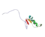 Signal Peptidase Complex Subunit 2 Homolog (SPCS2)