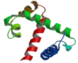 Signal Recognition Particle 54kDa (SRP54)