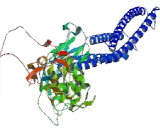 Signal Transducer And Activator Of Transcription 3 (STAT3)