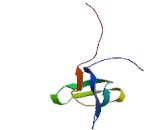 Signal Transducing Adaptor Molecule 2 (STAM2)