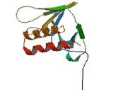 Signal Transducing Adaptor Protein 1 (STAP1)