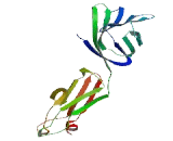 Signaling Lymphocytic Activation Molecule Family, Member 6 (SLAMF6)