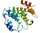 Sin3A Associated Protein 30kDa (SAP30)