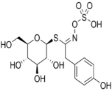 Sinalbin (SB)